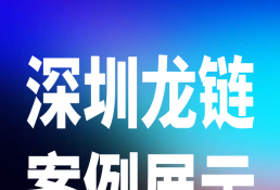 【深圳龙链集团】-案例展示集
